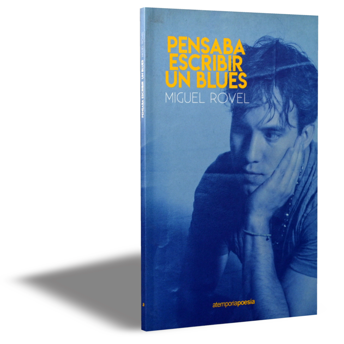 Pensaba escribir un blues, Miguel Rovel